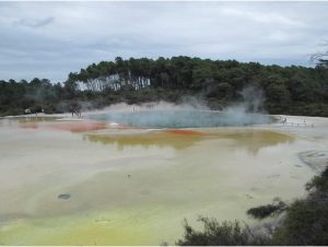 View of a colorful pool at the Waiotapu Geothermal area.