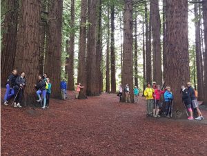 The whole group "hugging" Redwood trees at the base of Te Mata Peak