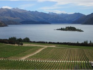 View of Wanaka Lake from Rippon Winery