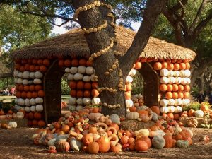 Pumpkin House at Pumpkin Village